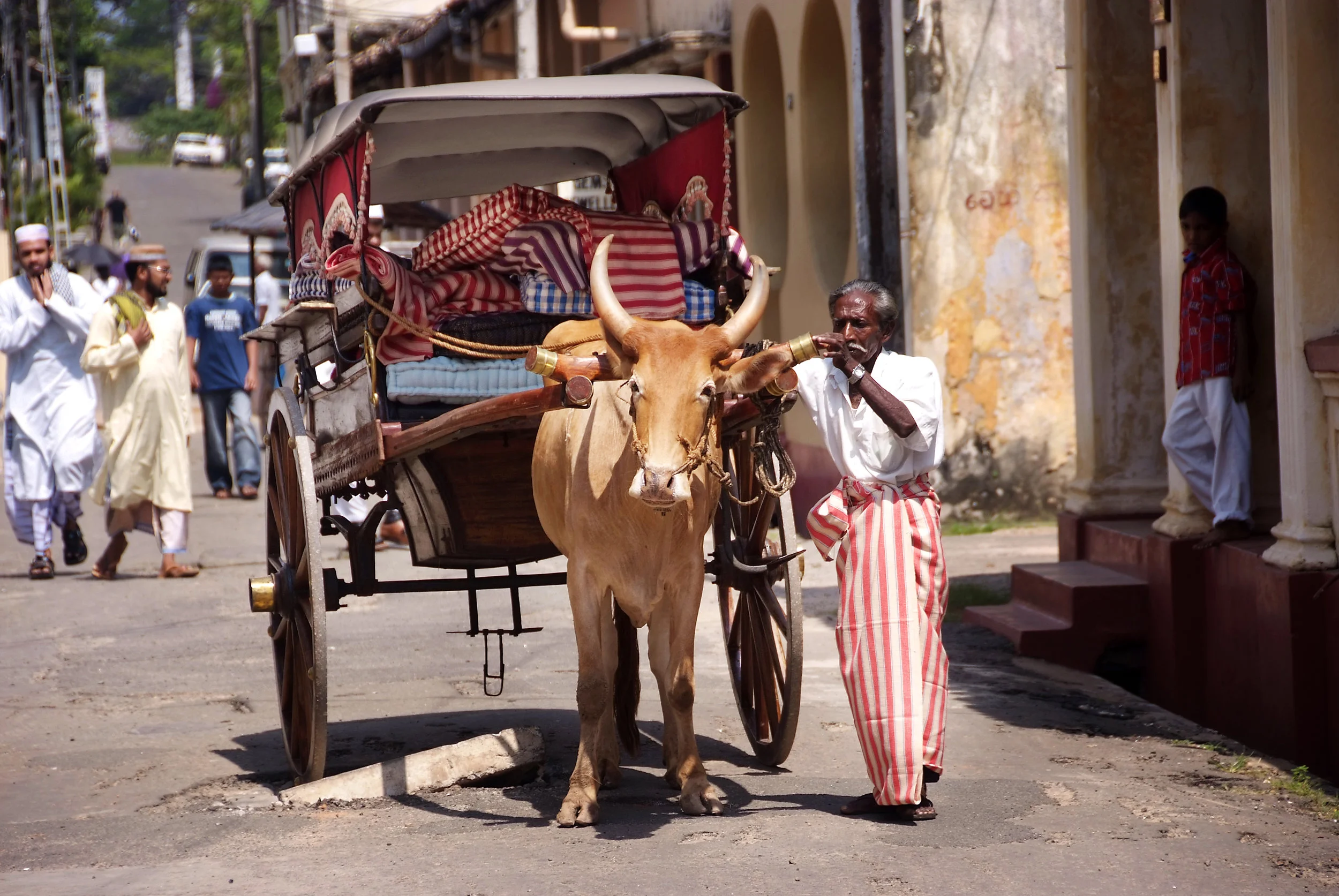 MALA-ED-ox cart onlookers.jpg