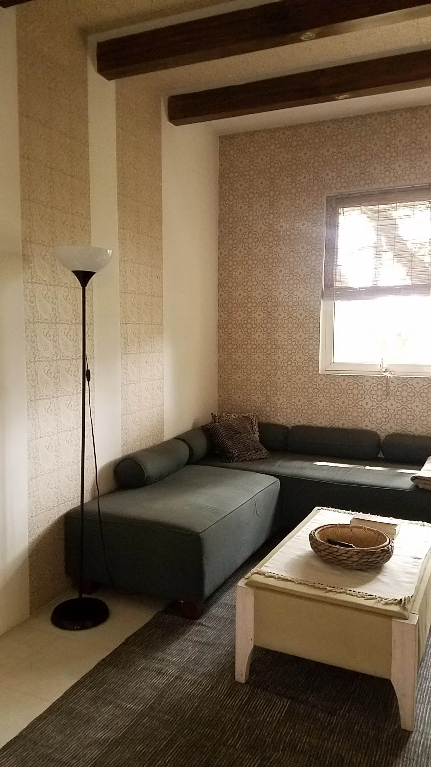 20181125_115501.jpg