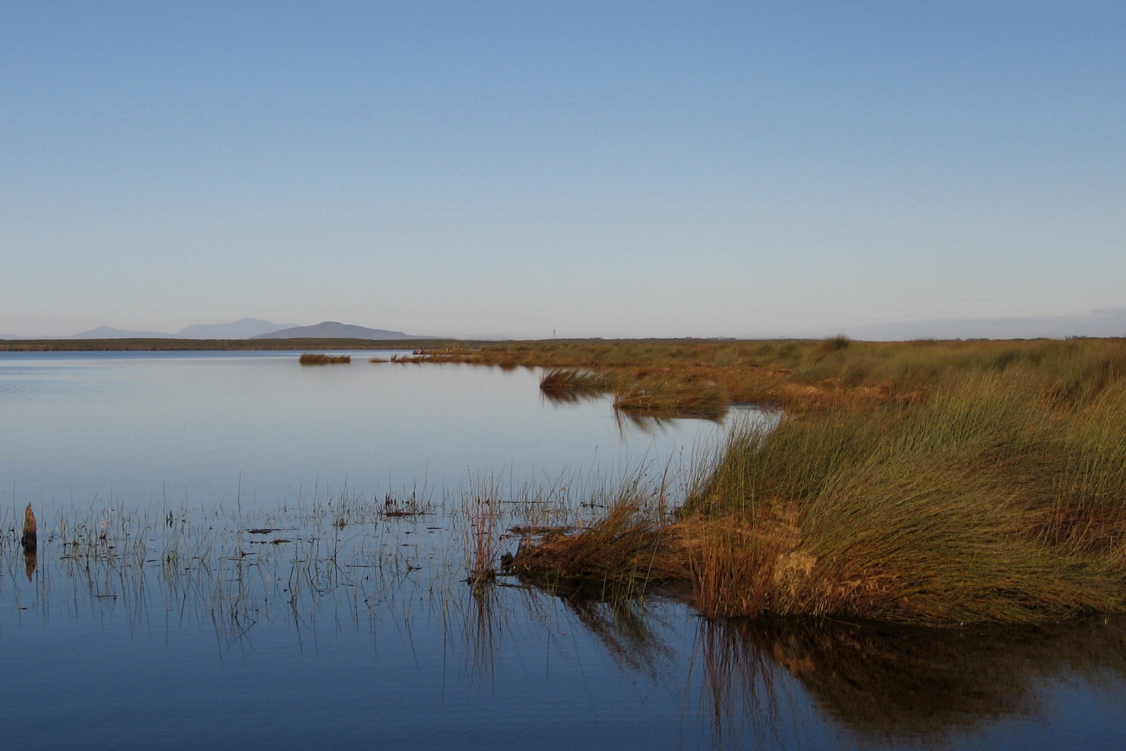 Waituna Lagoon, Southland