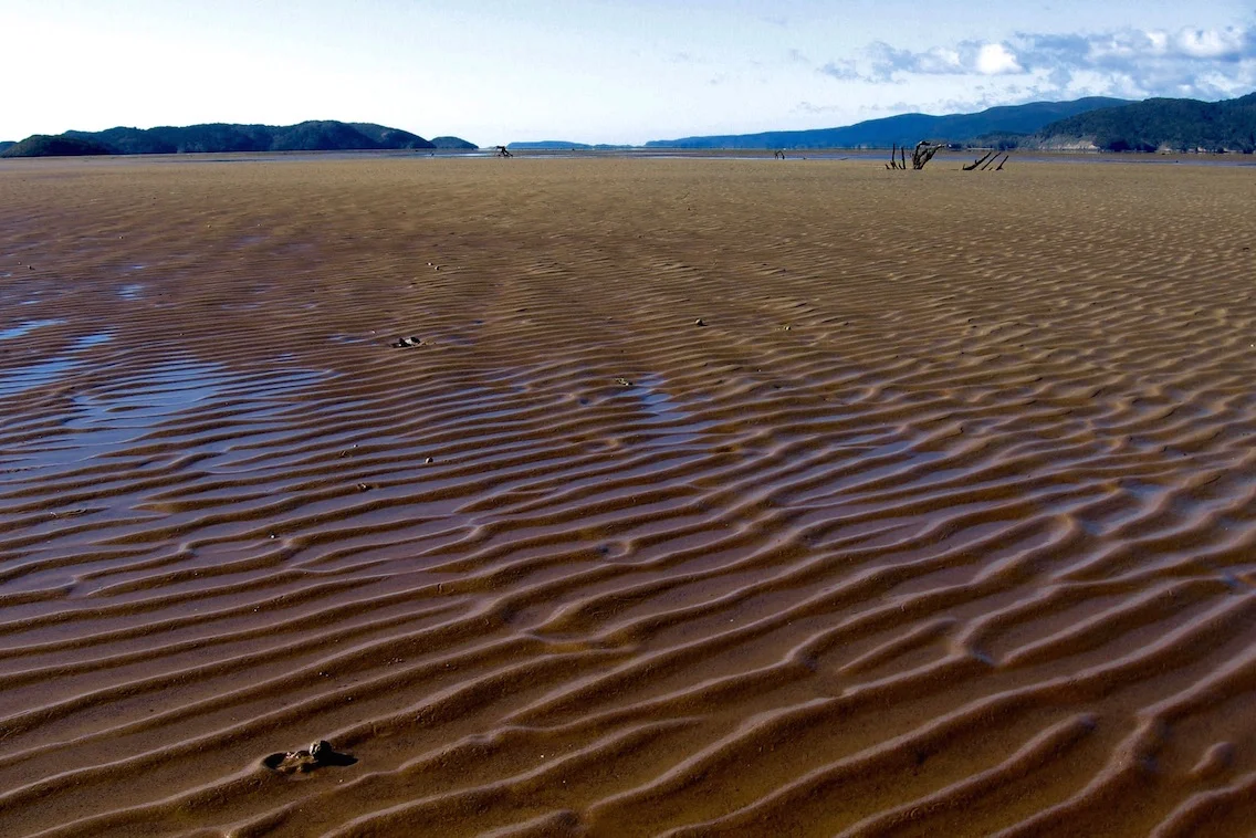 Freshwater Estuary, Stewart Island