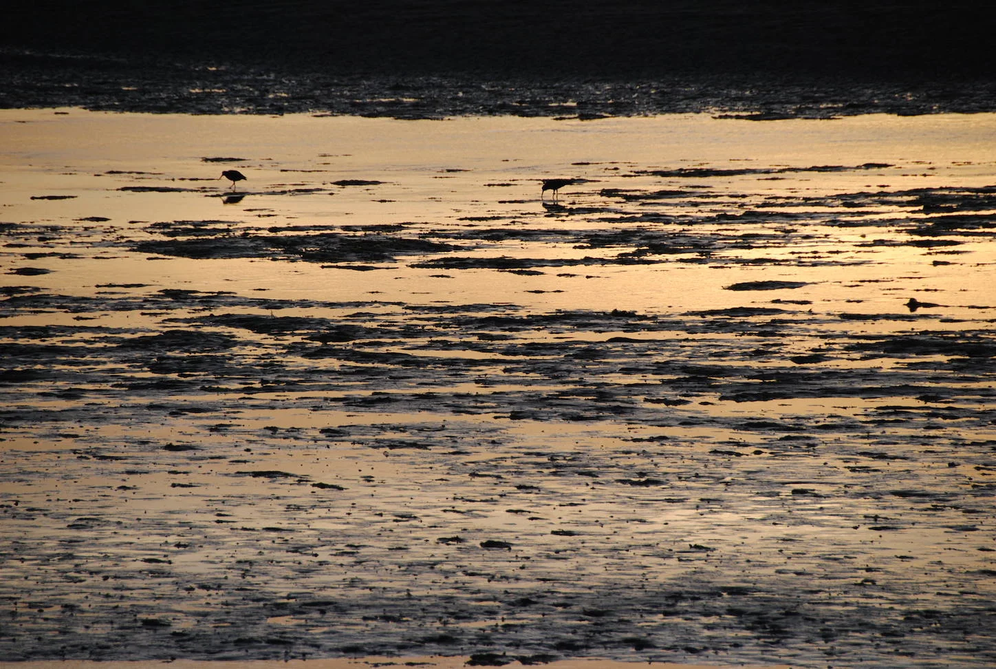  Moutere Inlet 