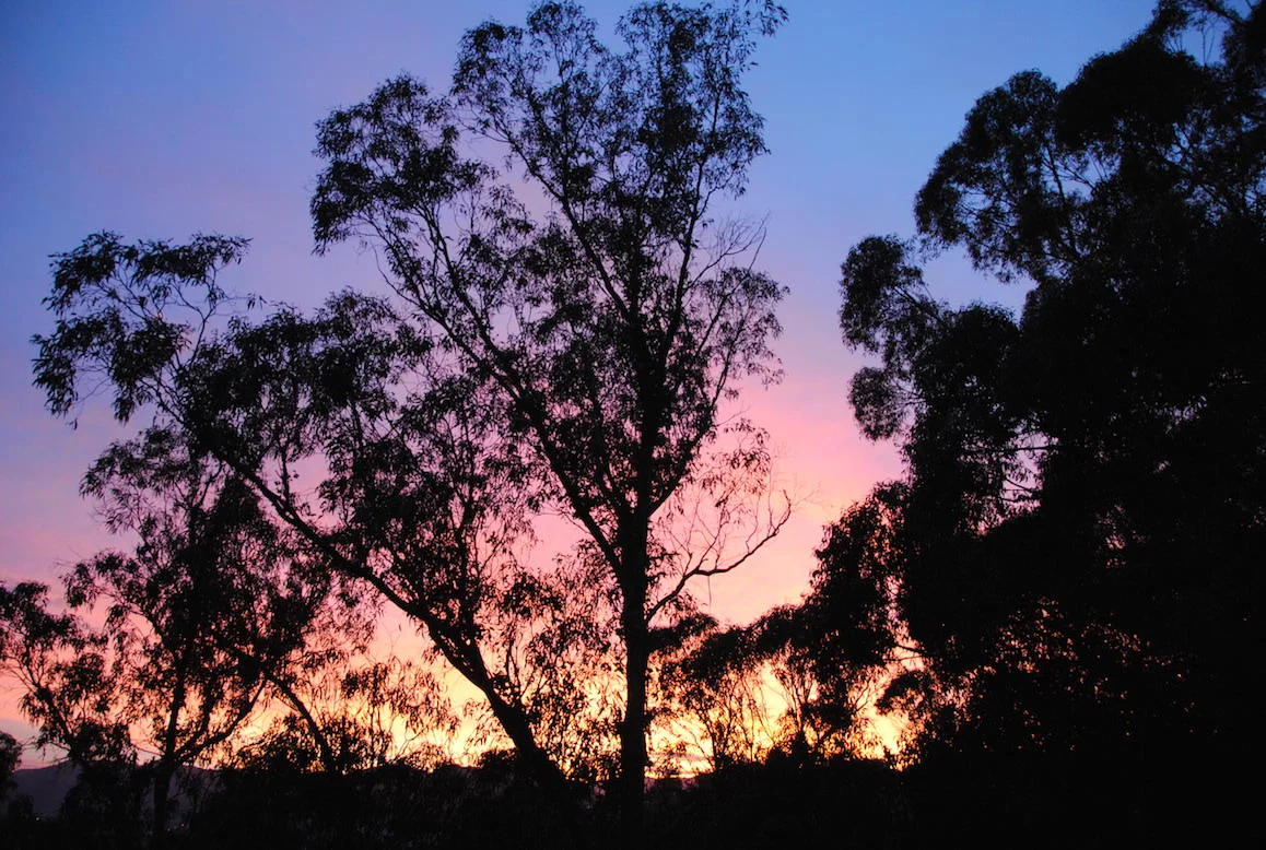  Nelson sunrise 