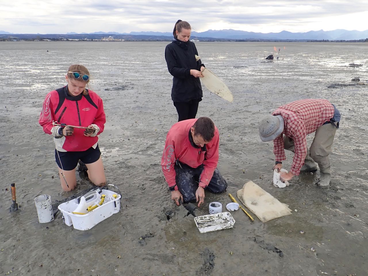 Waimea Inlet state of environment estuary sediment sampling