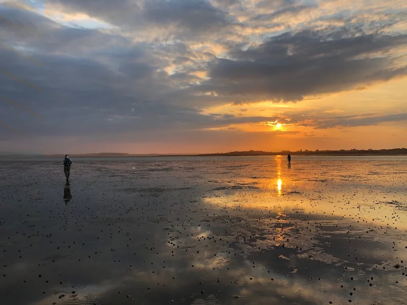 Late evening sampling in New River Estuary, Southland