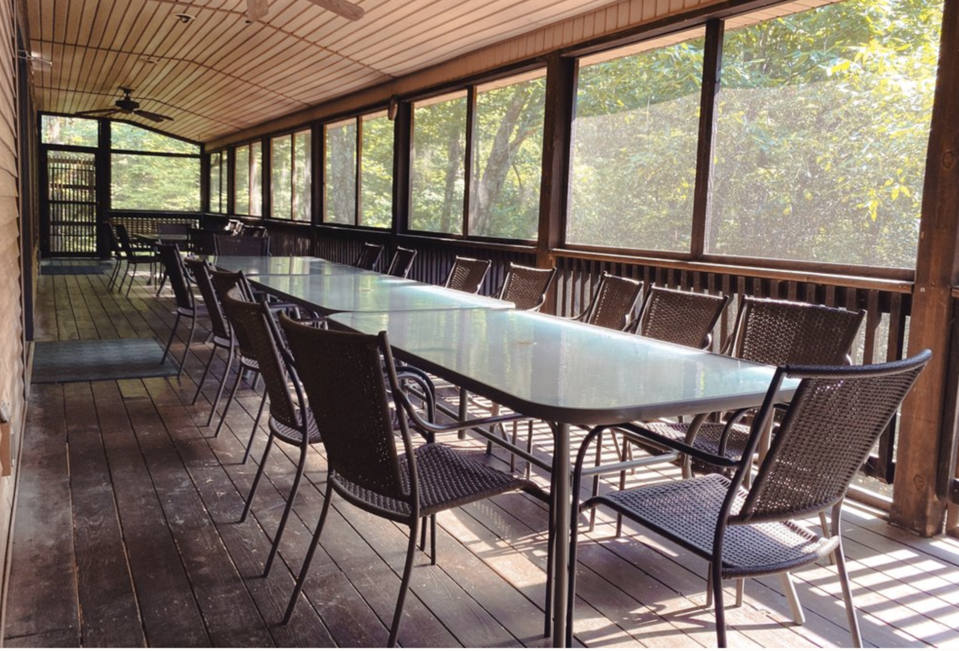 Screen Shot 2025-02-01 at 12.09.52 PM.png