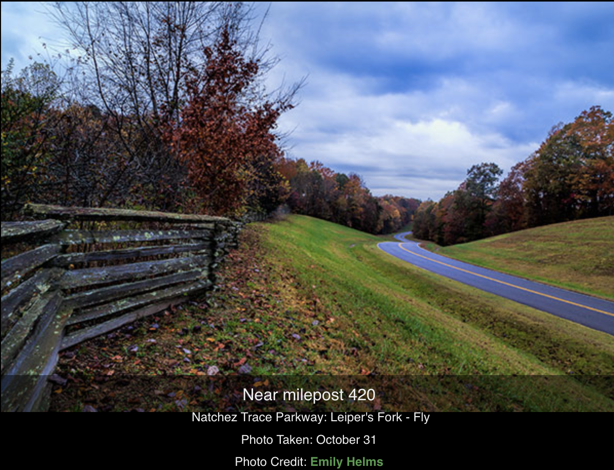 Screen Shot 2025-08-18 at 3.06.50 PM.png