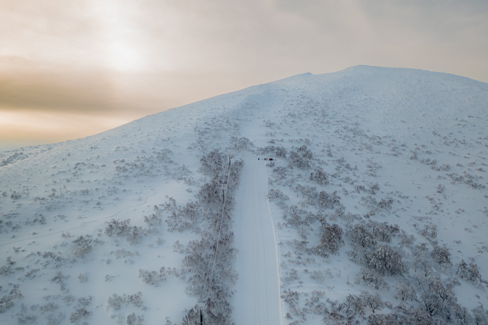 20220120-IWANAI-ORANGE MAN-DJI_0576-60.jpg