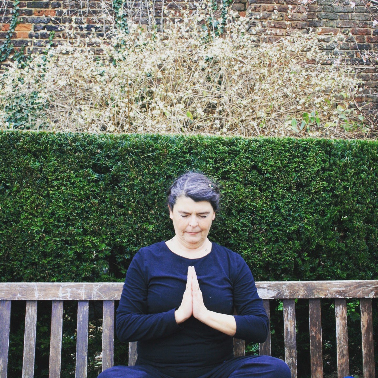 It&rsquo;s good to meditate for an hour a day unless you&rsquo;re busy, then it&rsquo;s best to meditate for two hours a day.

Come breathe on your mat&hellip; perhaps for an hour perhaps for two 

Monday 
7.30 am morning flow @moreyoga_ Tulse Hill 
