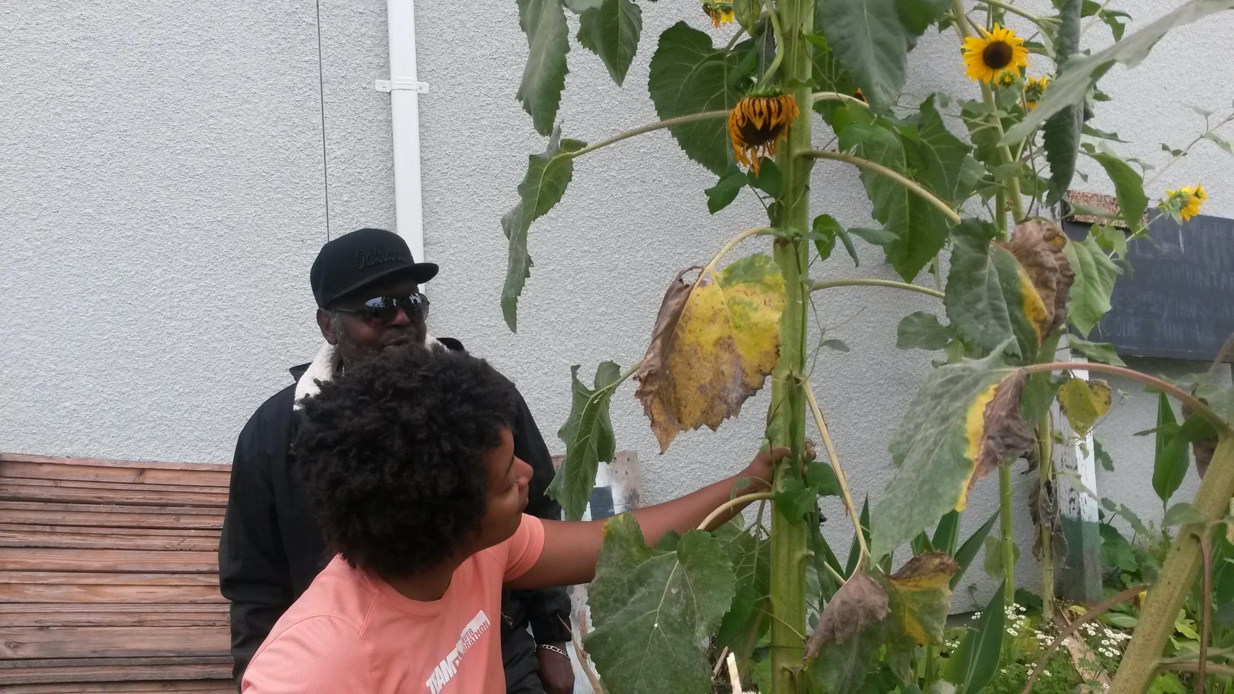 20140805_104916.jpg