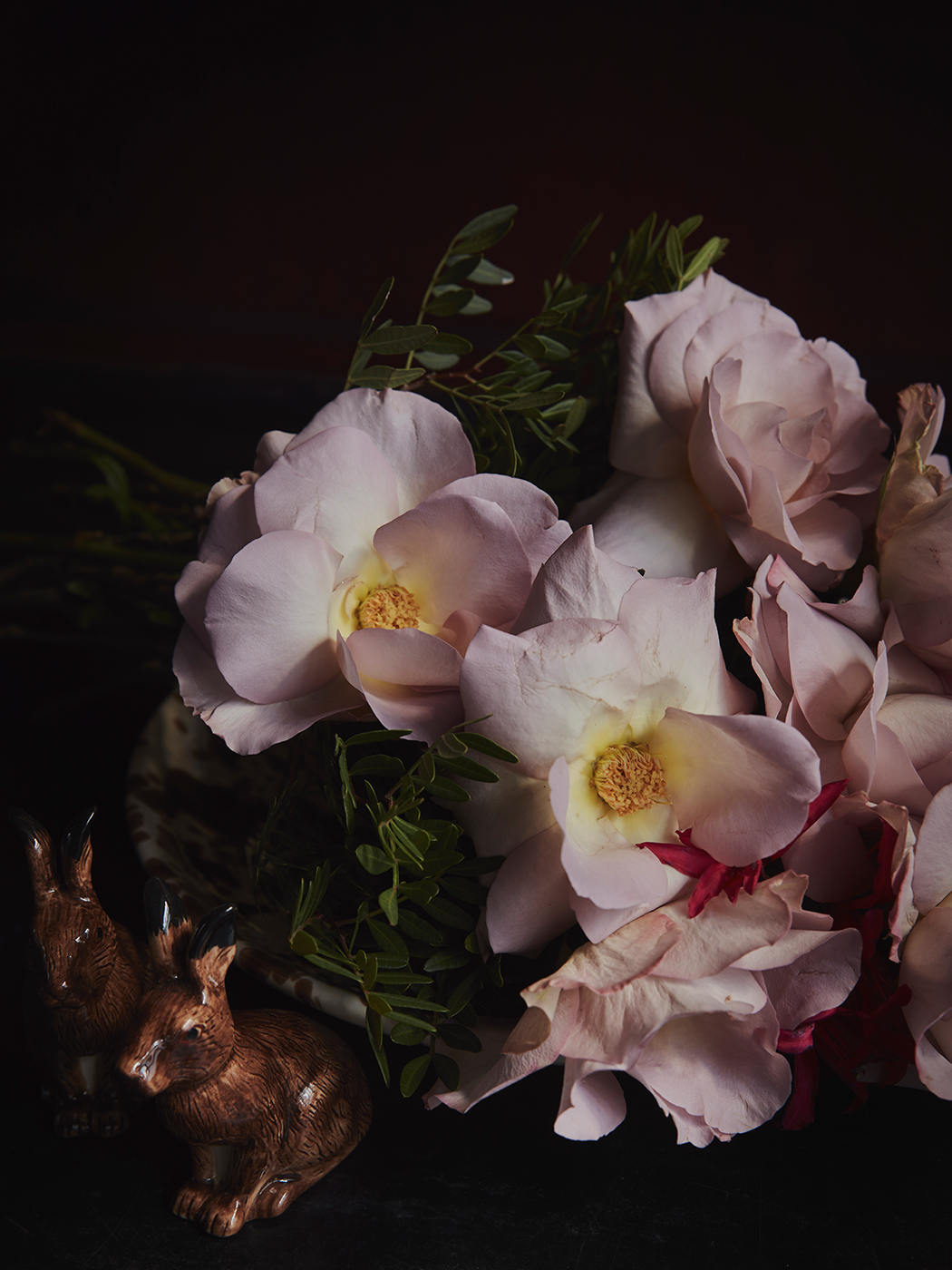 86213D26-E253-4D62-B5A1-453B9FDB6B36.jpeg