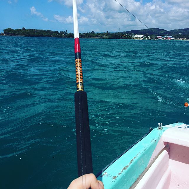 Look who brought home the bacon. Lovely day fishing. Bit choppy but dot caught a lovely king fish! 👑 #kingfish #gonefishing🎣