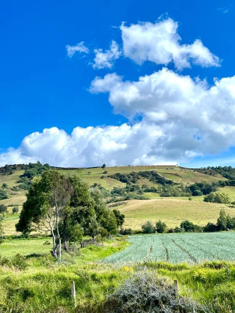 Boyaca countryside