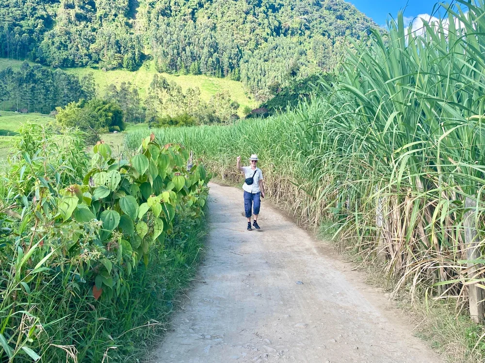 Walking to viewpoint