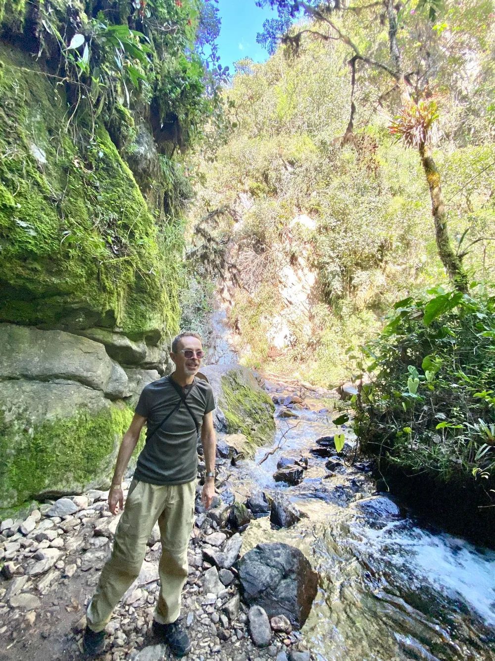 Valle de Cocora