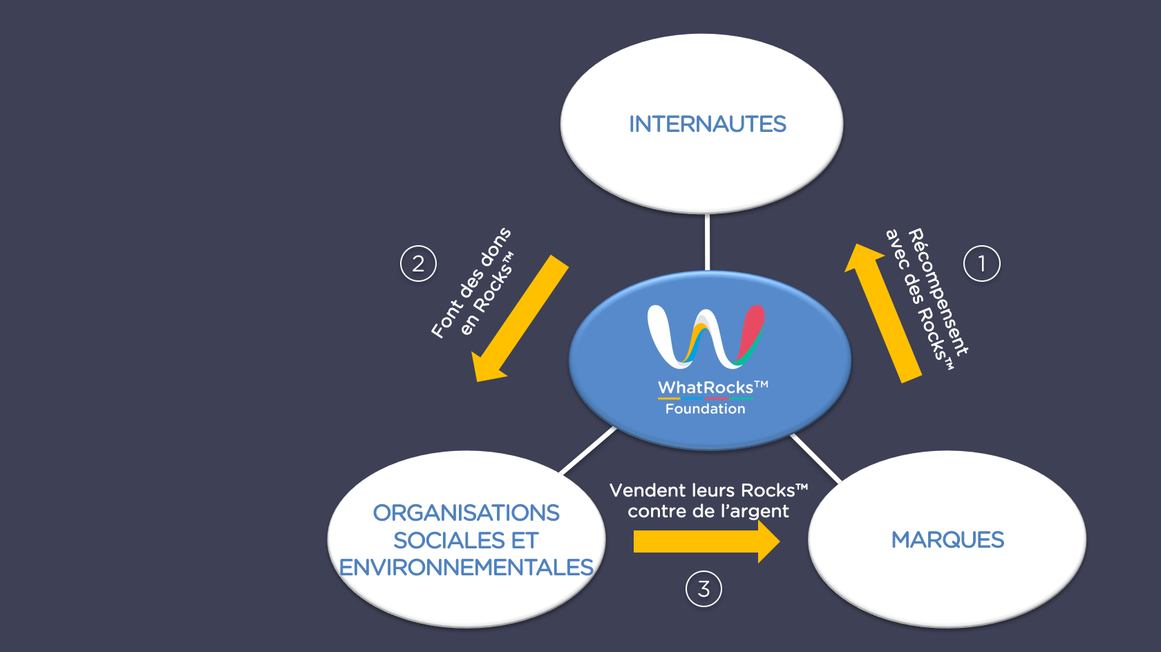 WhatRocks Foundation™ ecosystem FR (right).png