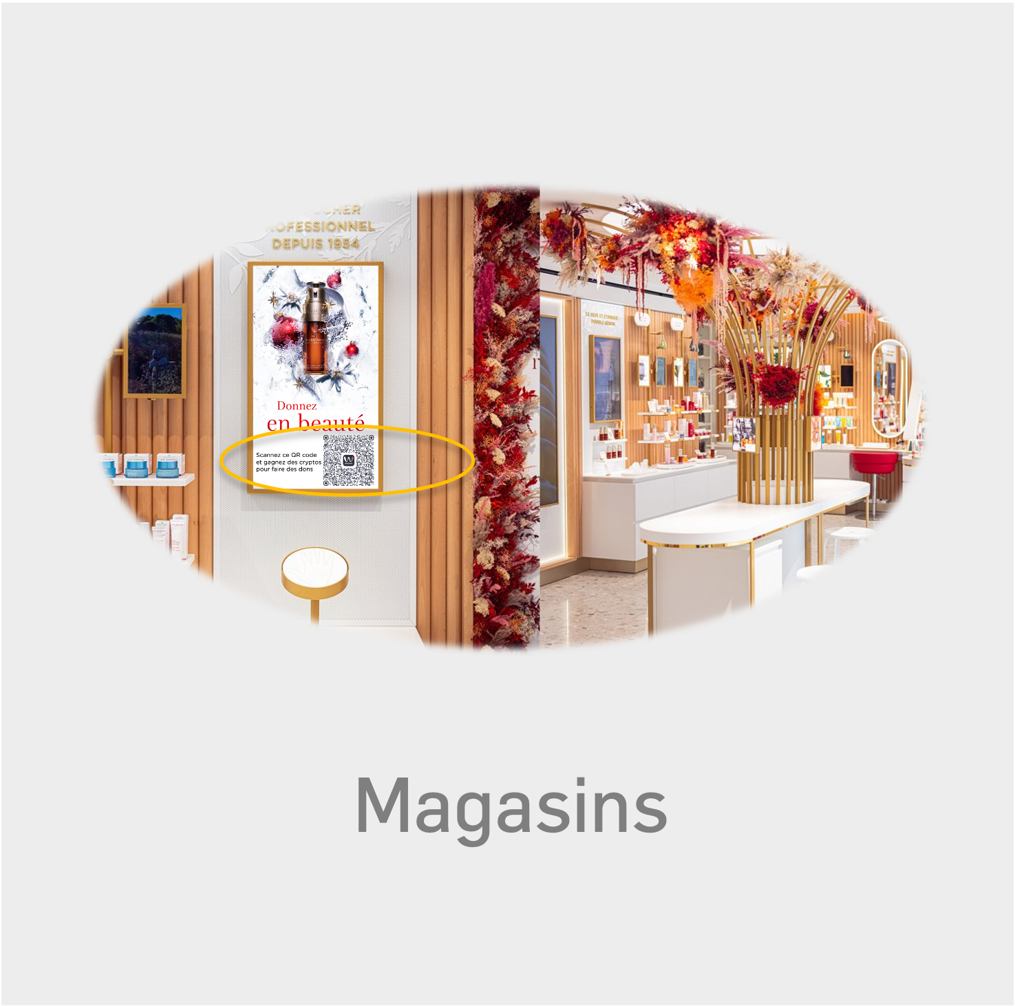 Stores - Clarins - FR.png