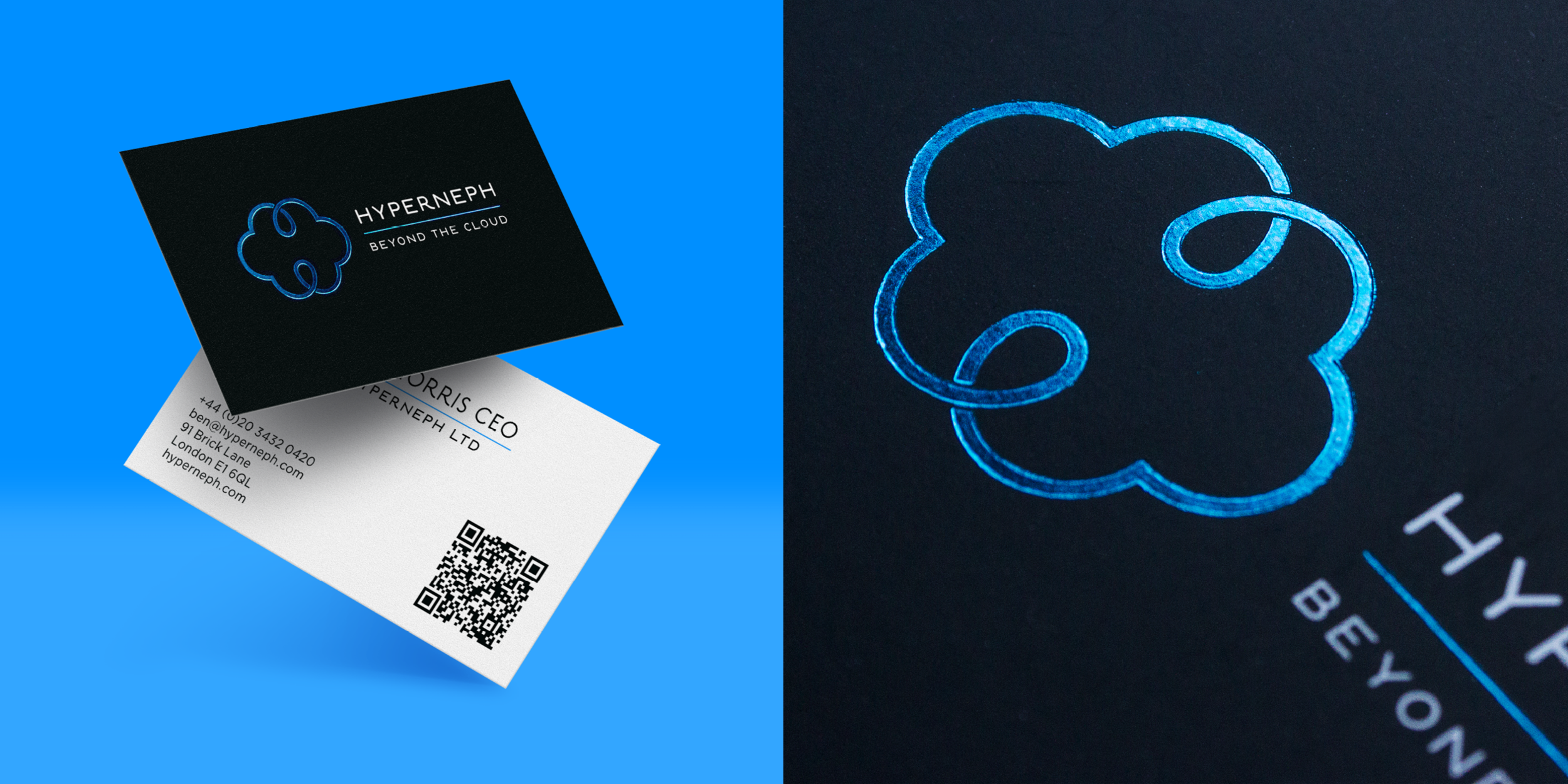 Hyperneph photographic layouts.png