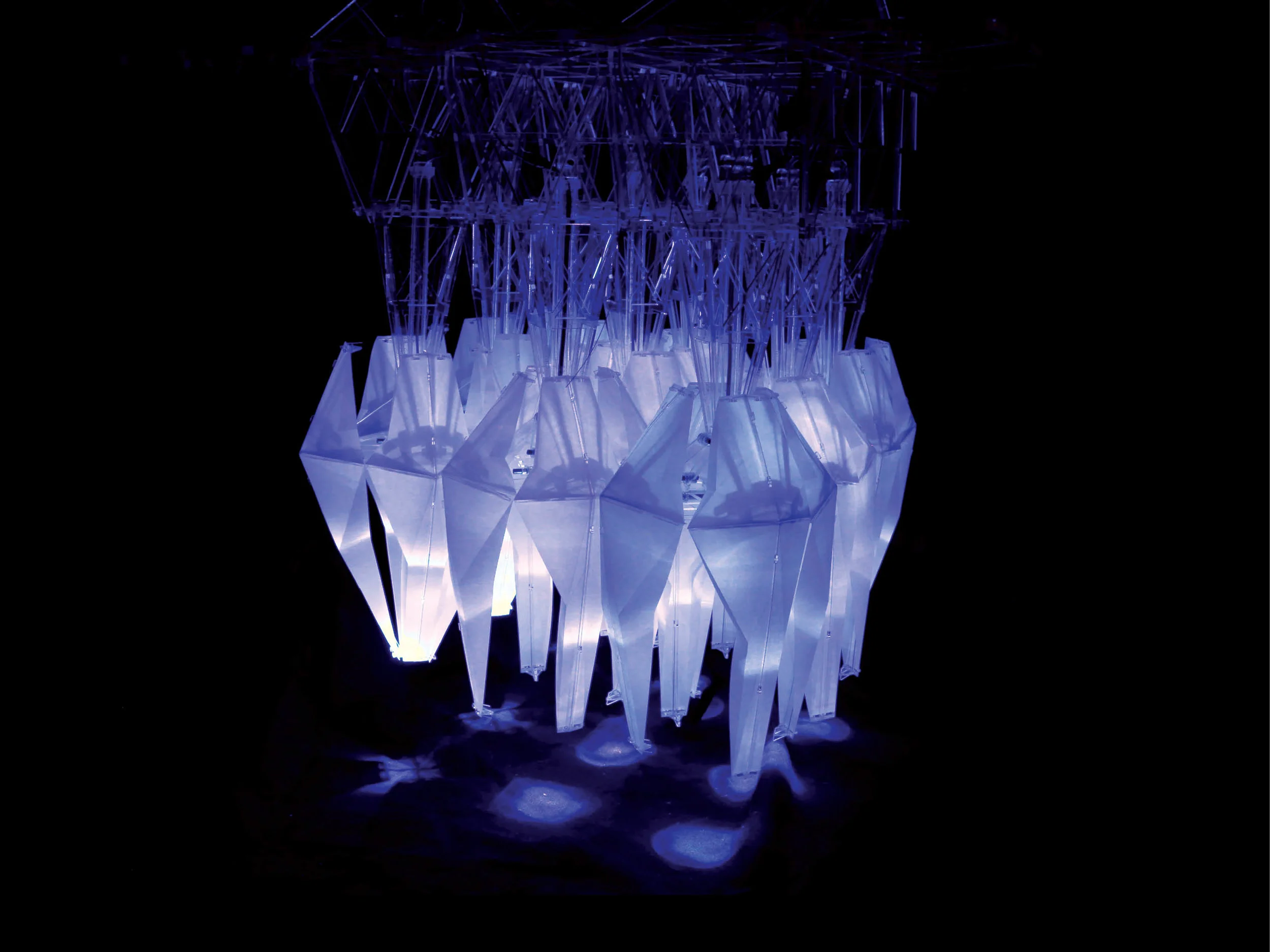 WP-Light.jpg