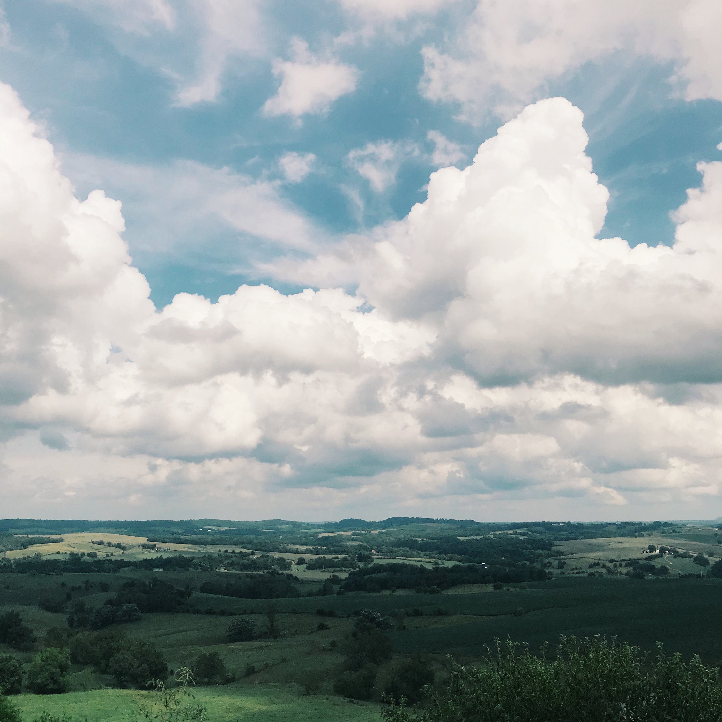 Colleen Bordeaux Galena Landscape.jpeg