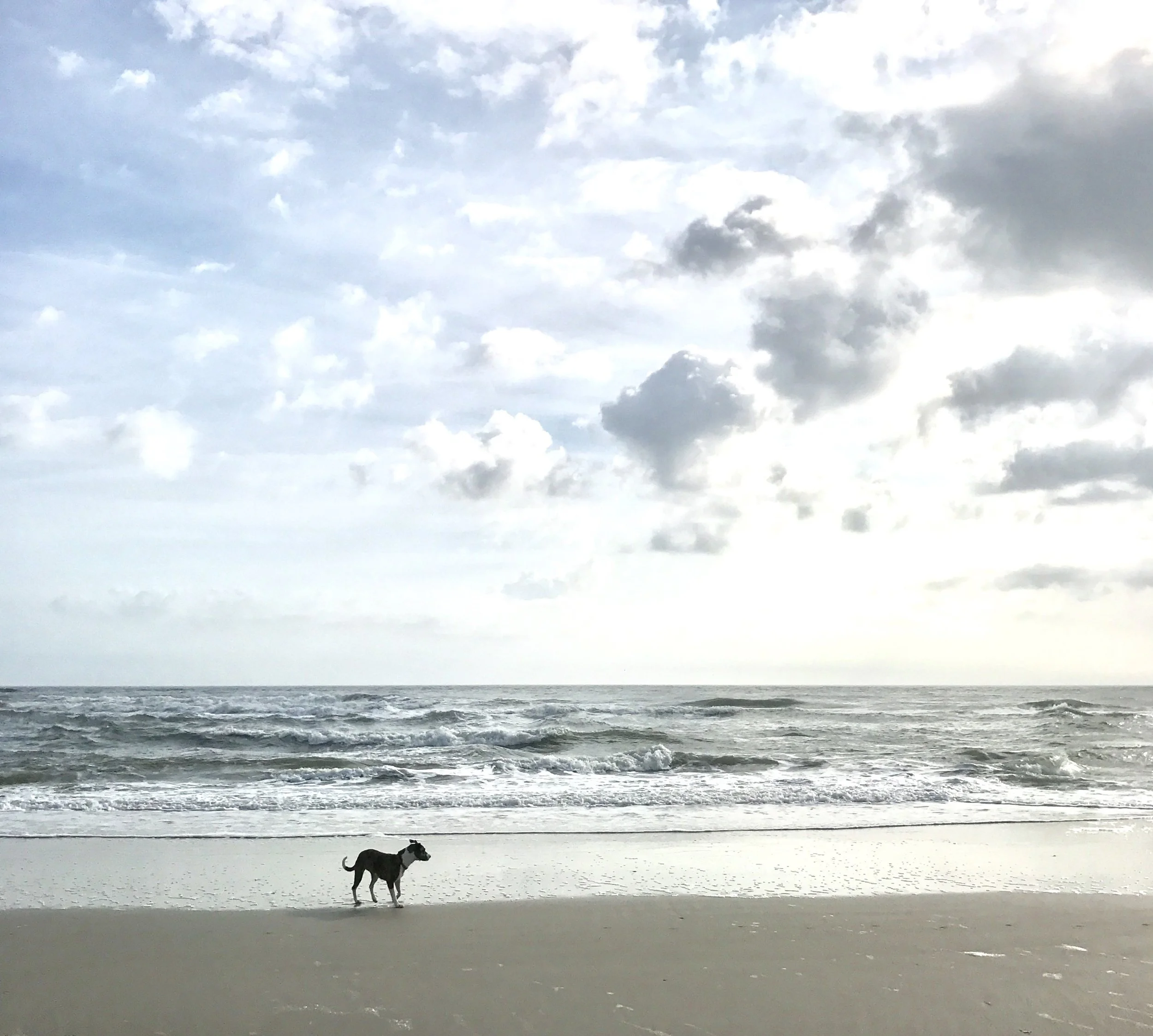 Beach scene.jpg