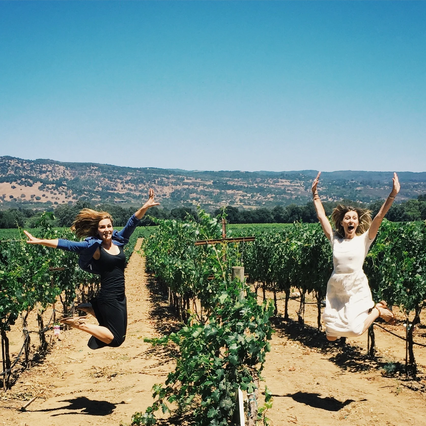 Sonoma County.jpg