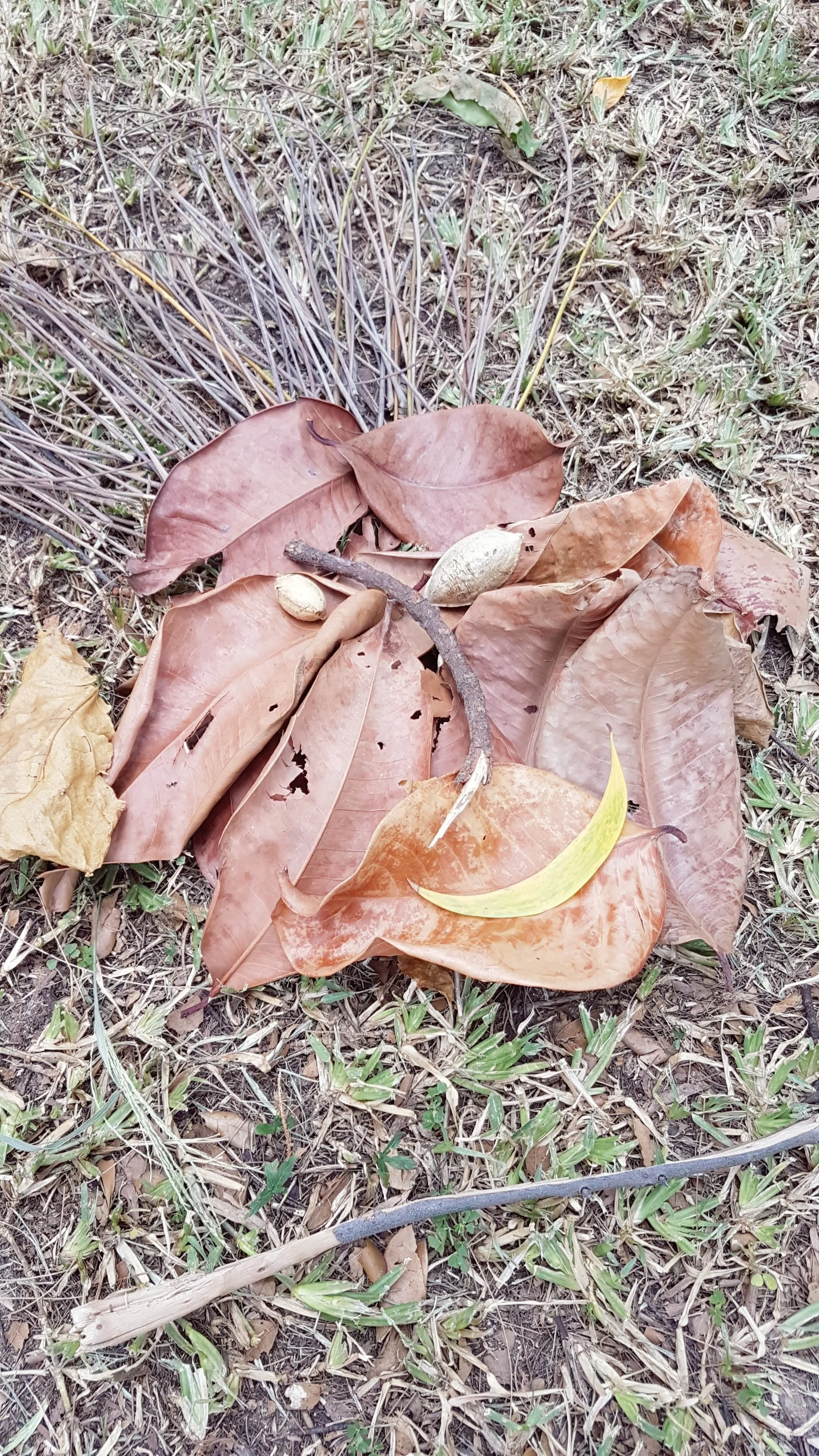 20180319_090848.jpg