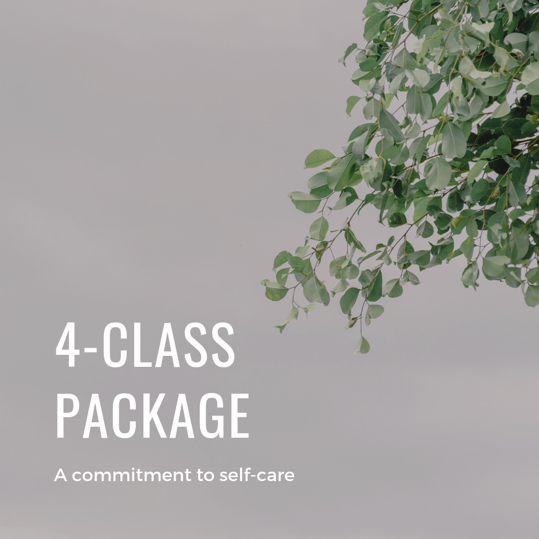 4-class package for forest bathing, forest therapy