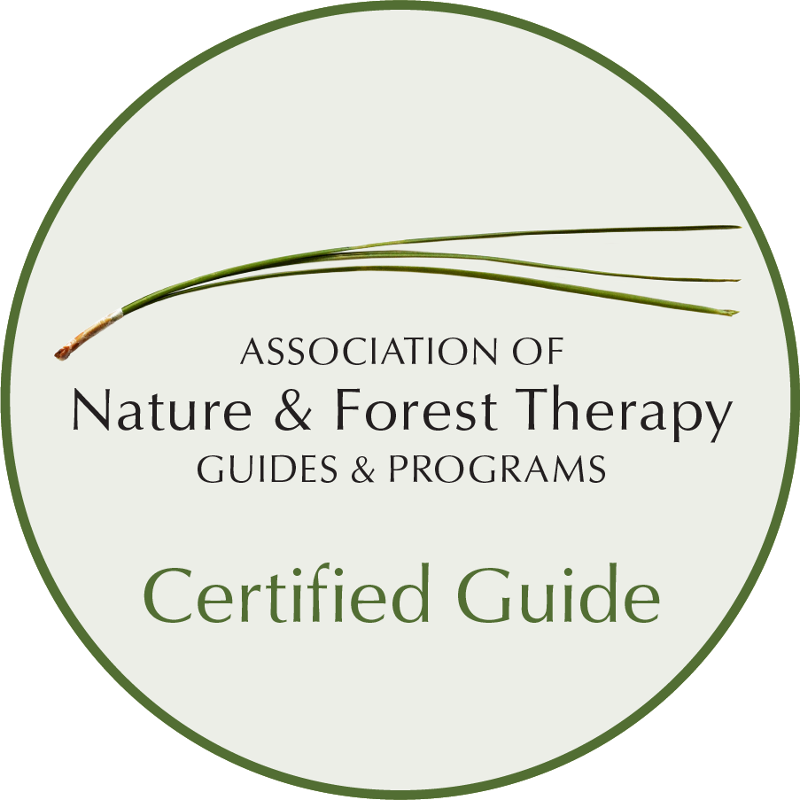 ANFT LOGO_CERTIFIED GUIDE_300dpi.png