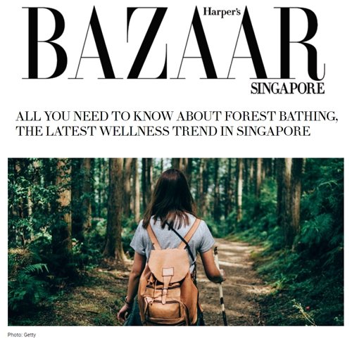 Forest bathing feature by Harper's Bazaar