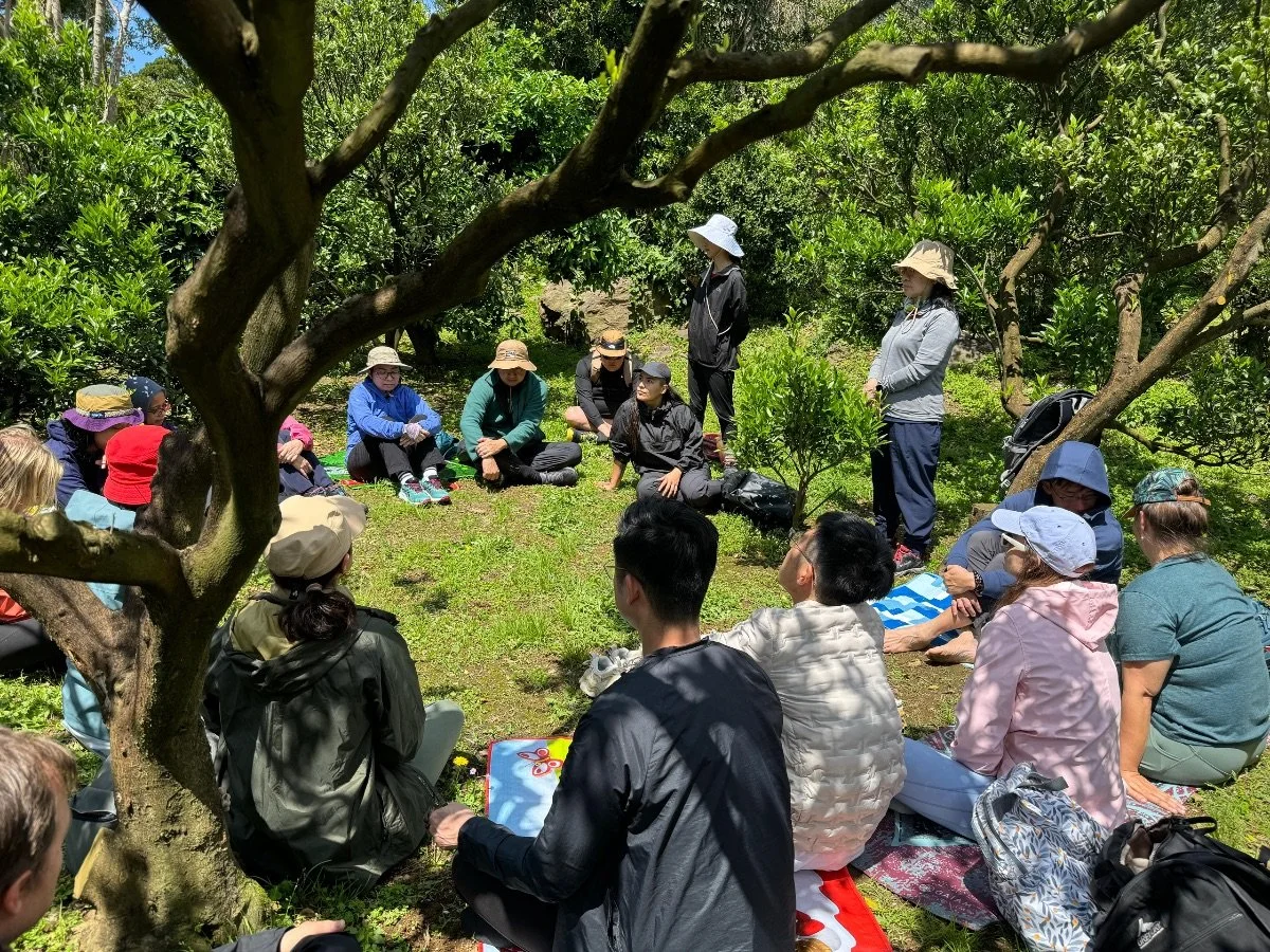 training-to-be-a-forest-bathing-guide-therapist-09.jpeg