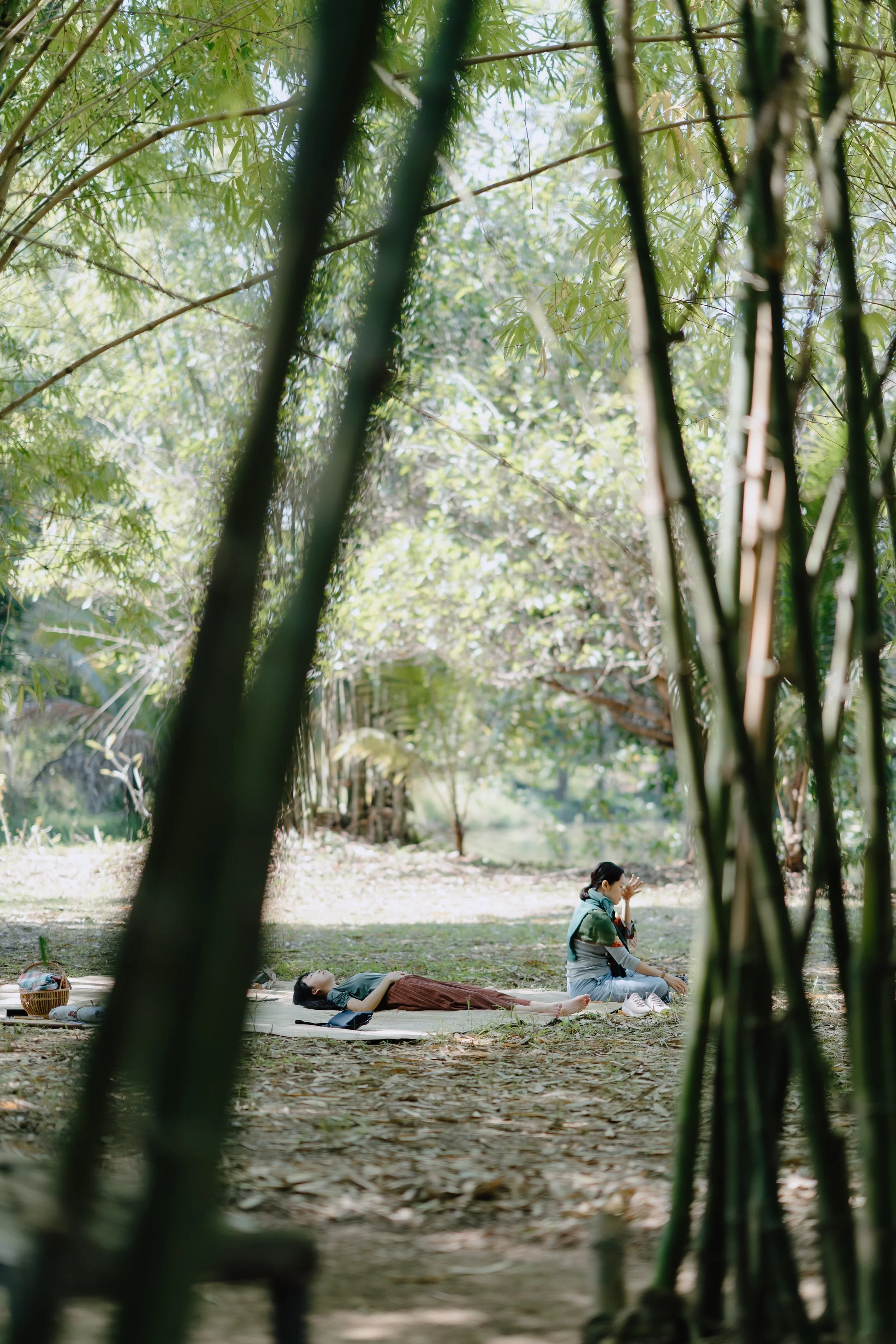2 women in a forest bathing retreat held in a lush bamboo grove, one sitting and one lying down