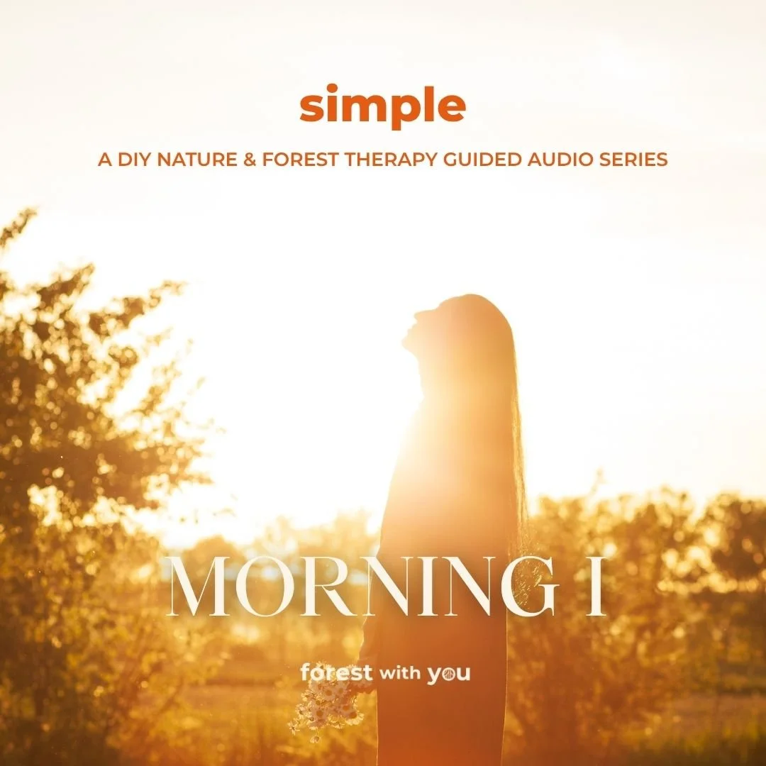 SIMPLE MORNING I - A DIY Nature & Forest Therapy Guided Audio Series