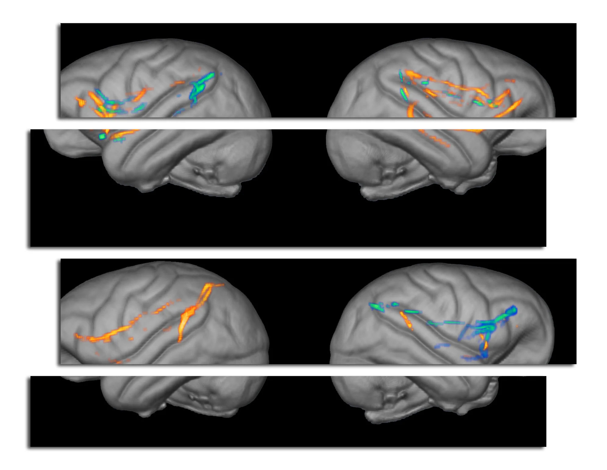 DAID_Imitation_ChimpBrains.jpg
