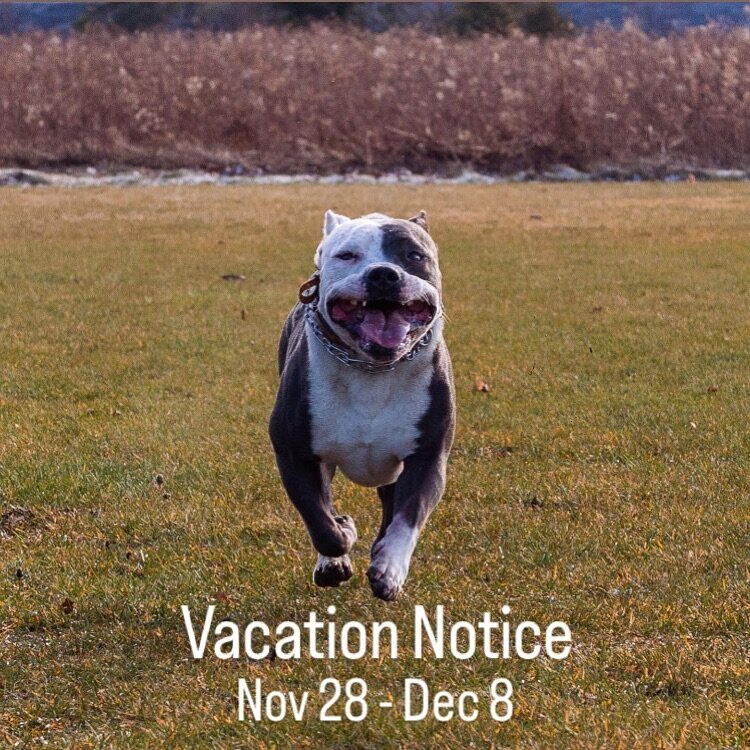 Just a heads up that I (Hanna) will be travelling from November 28 through December 8. This account will be monitored on a limited basis during that time. Please direct any inquiries to info@mindfuldog.ca and Mandy will help you from there. All DMs w