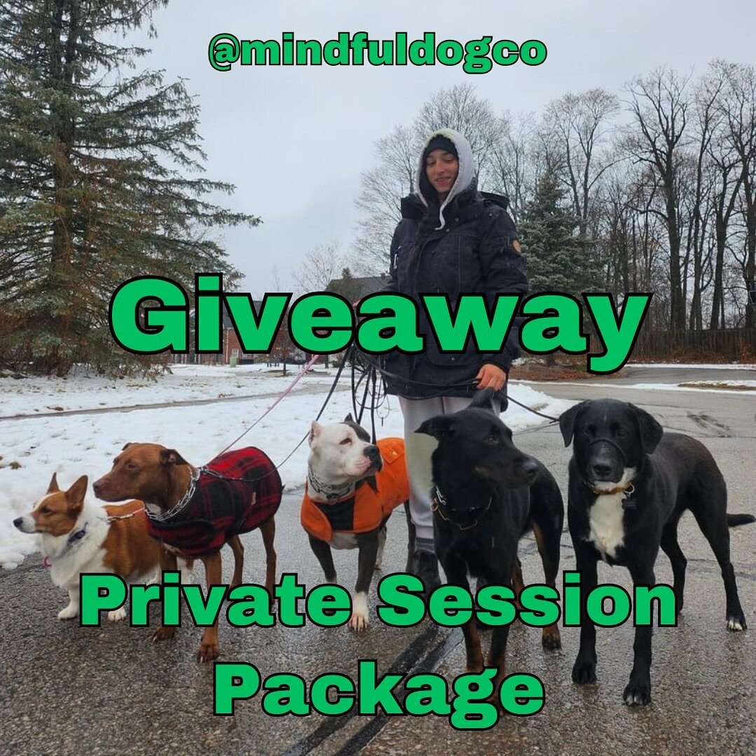PRIVATE SESSION PACKAGE GIVEAWAY

We are giving away a private session package of 4, one-hour sessions ($600 value)!

To enter:
1. Follow us at @mindfuldogco
2. Share this post to your story
3. Comment how you&rsquo;d like to use the training session