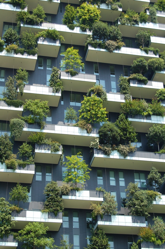 eco-building.jpeg