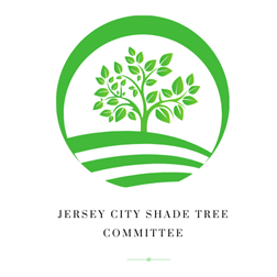 Shade Tree Committee