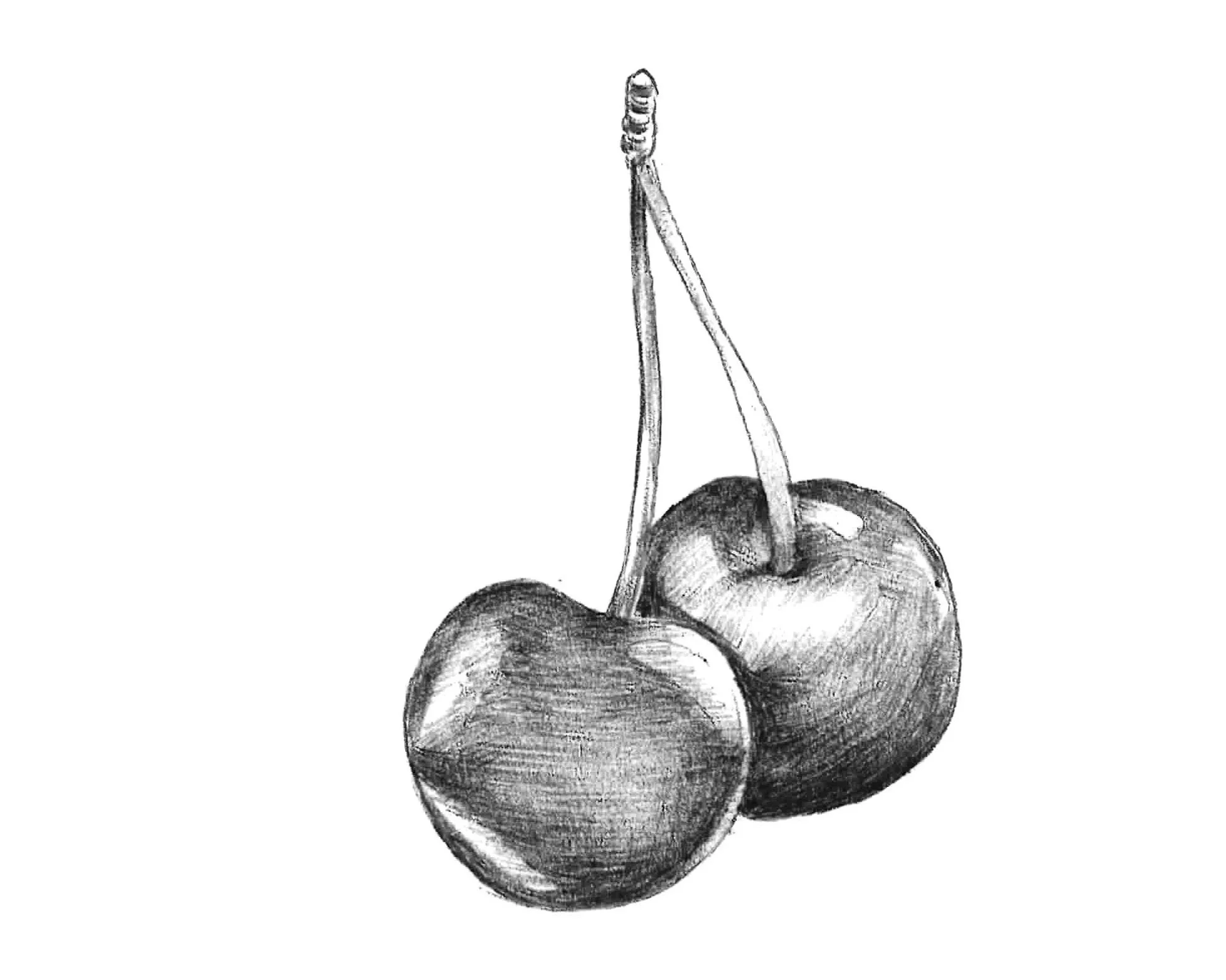 cherry.jpg