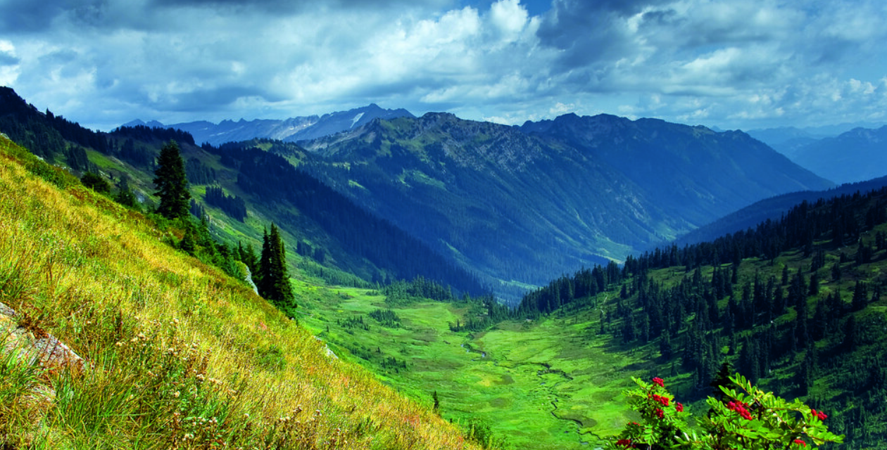 The disturbing Pacific Crest Trail (PCT) disappearances — StrangeOutdoors.com