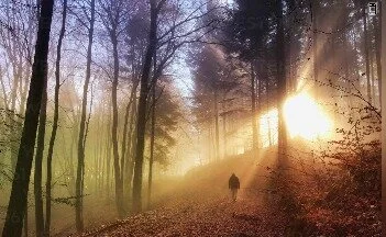 Ursula And Sabina Eriksson The Strange And Disturbing Case Of Madness For Two Mysterious Stories Blog Strangeoutdoors Com