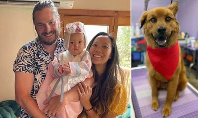 Gerrish and Chung family dead with dog Oski