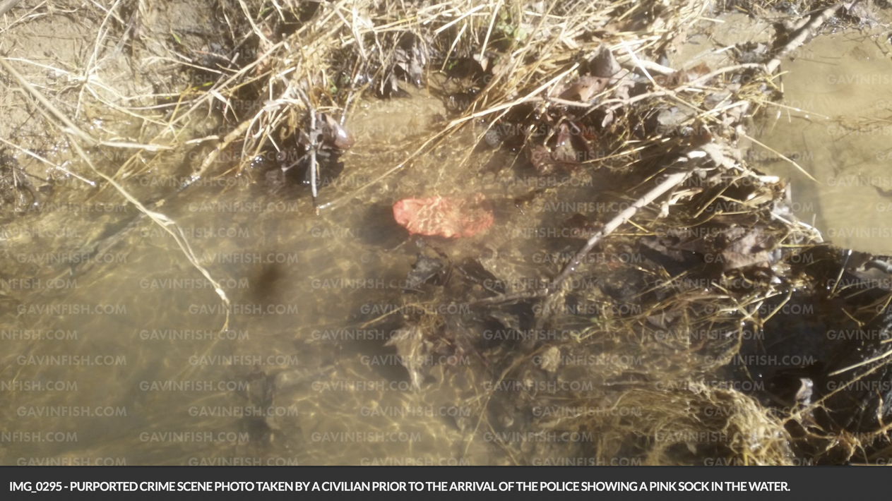 The Delphi hiking murders - Abigail Williams and Liberty German ...