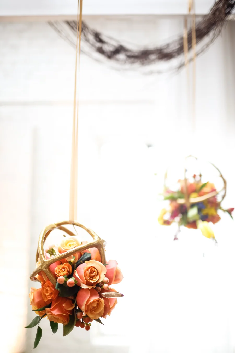 Koli Nichols Photography-5470.jpg