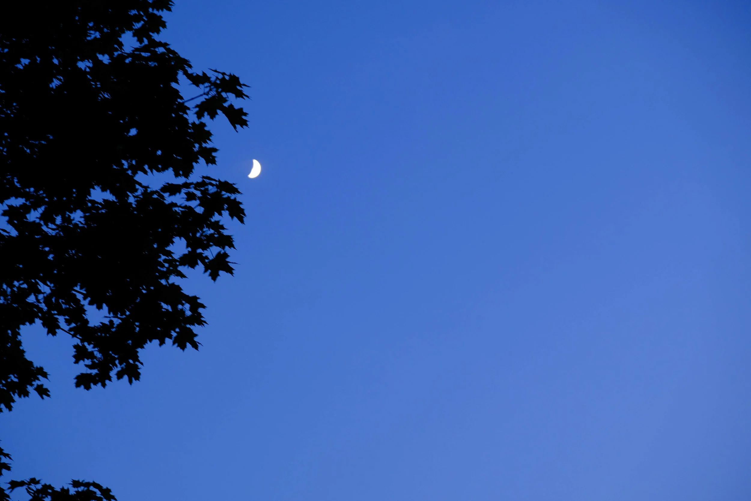 moon&may-3.jpg