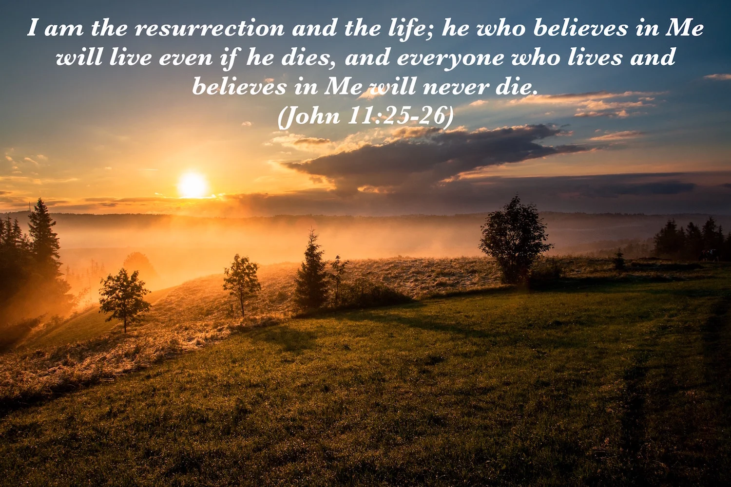 resurrection and life.jpg