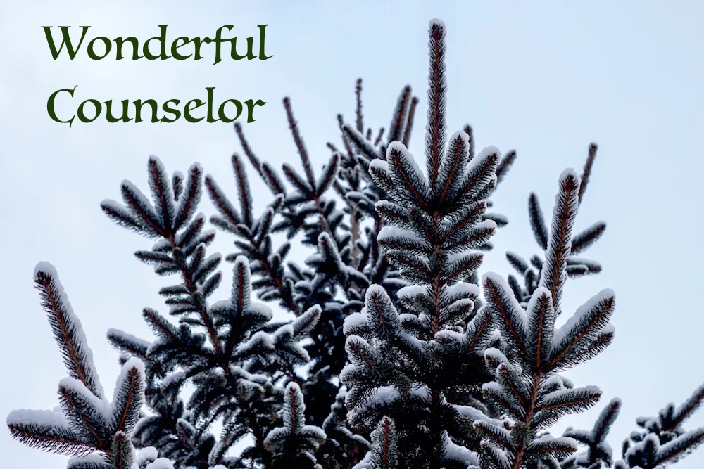 evergreen tree main_wonderful counselor.jpeg