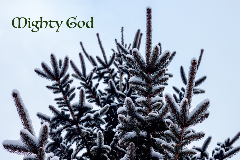 evergreen tree_mighty God.jpeg