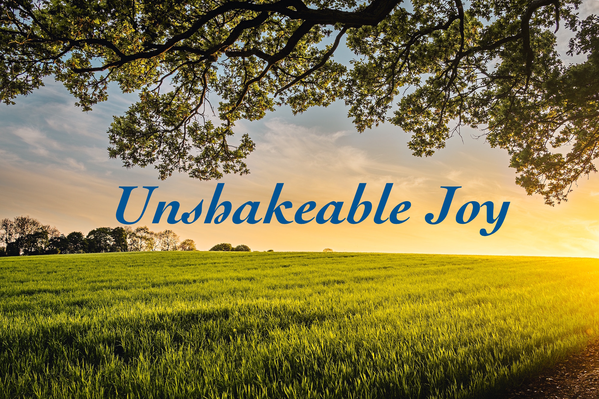 Unshakeable Joy 1.jpeg