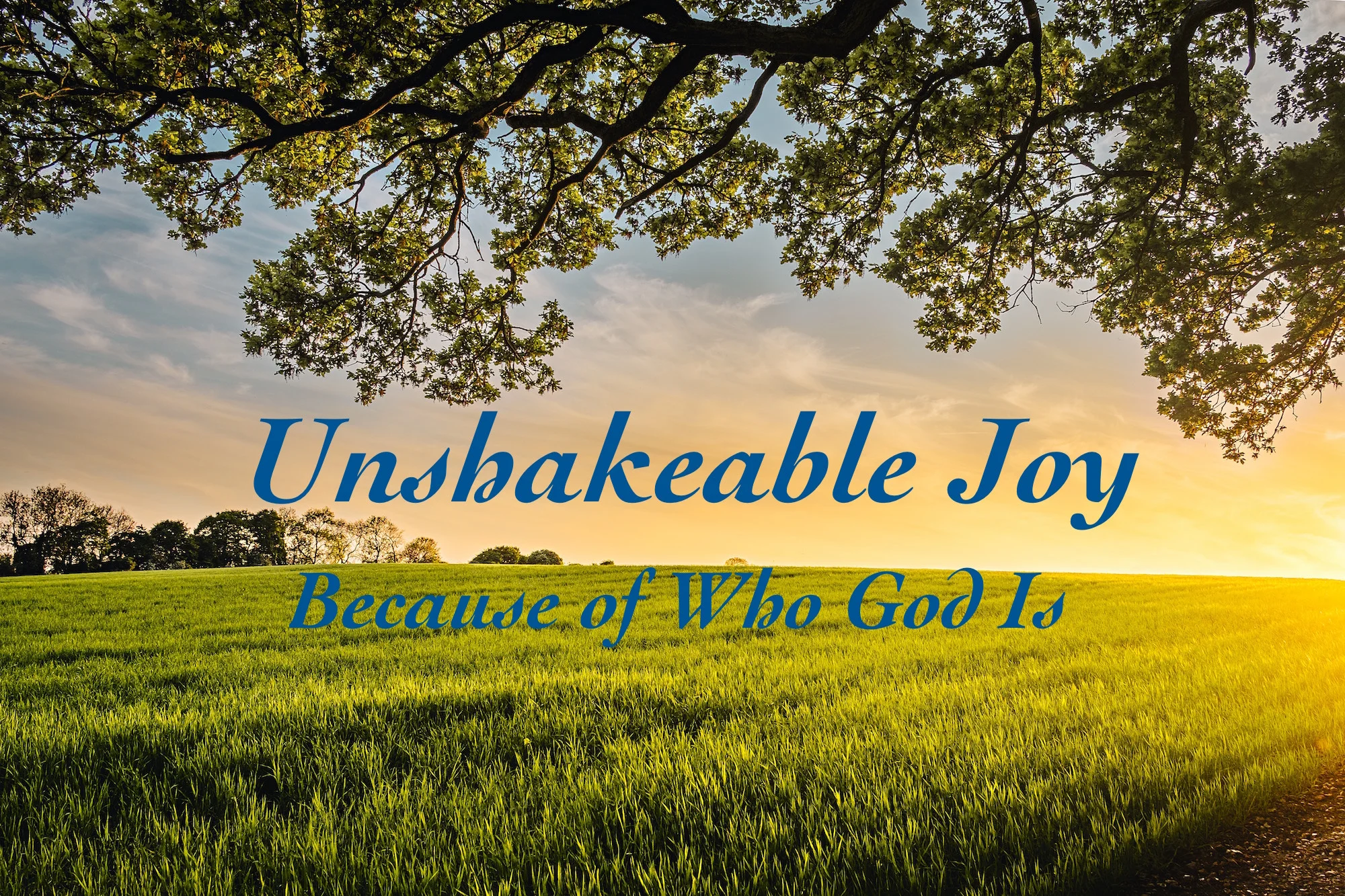 Unshakable Joy 3.jpg