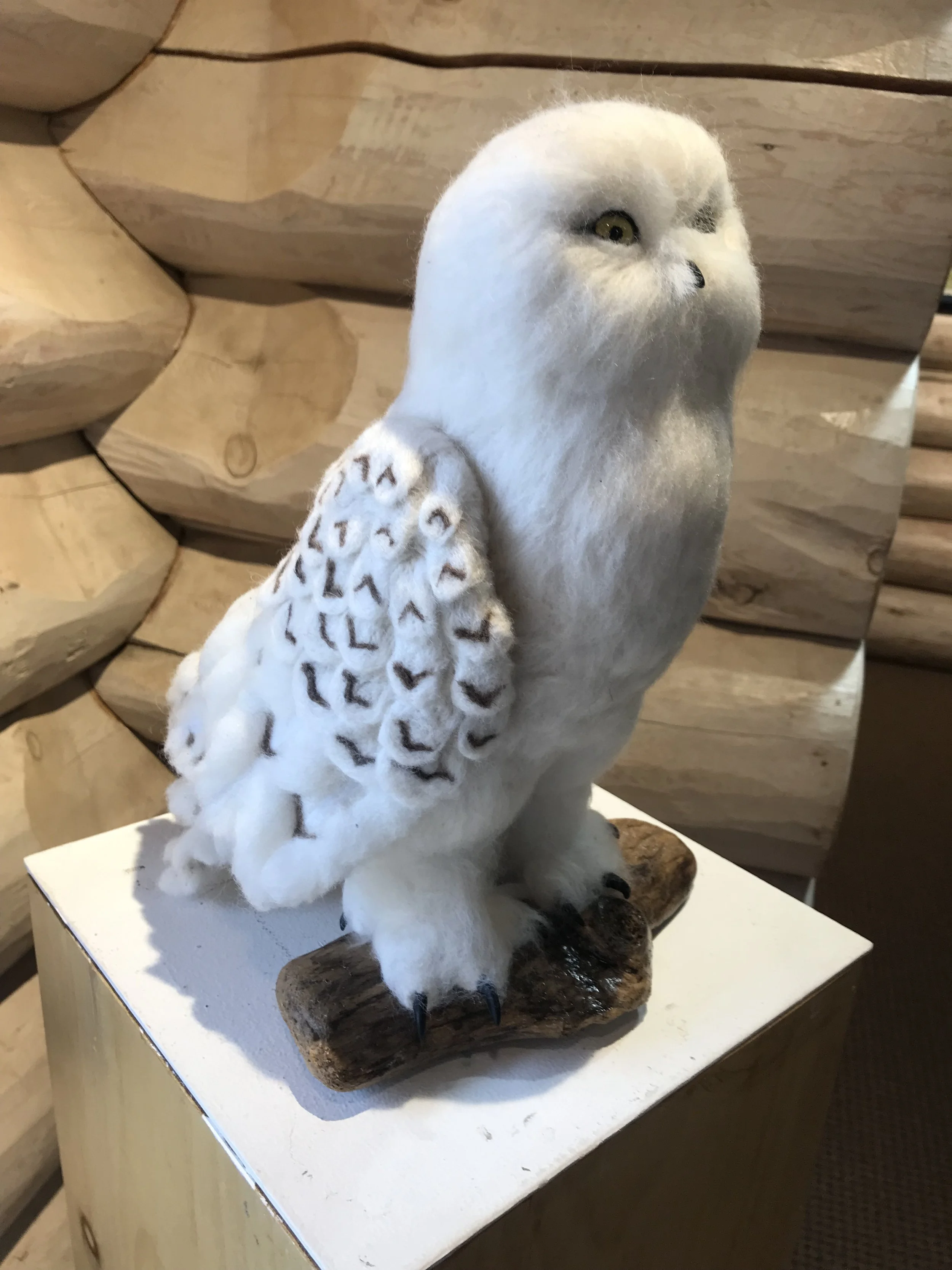 Snowy Owl